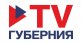 TV Губерния